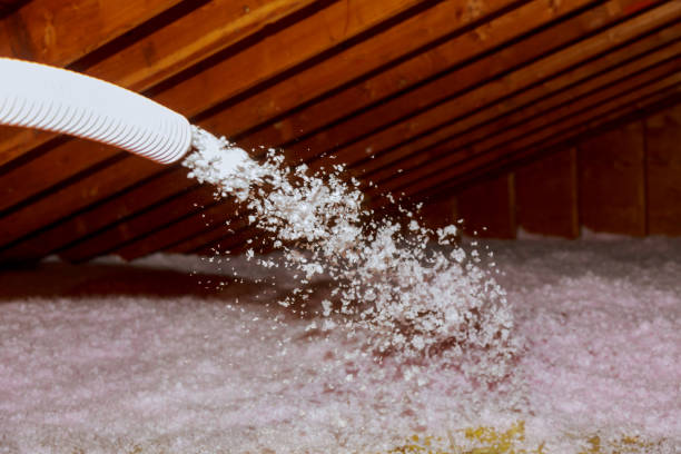 Best Cellulose Insulation in Twin Falls, ID