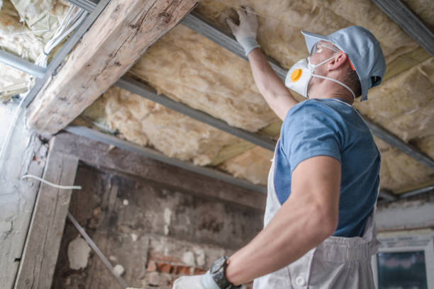 Best Specialized Insulation Services in Twin Falls, ID