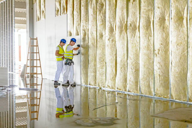 Best Eco-Friendly Insulation in Twin Falls, ID